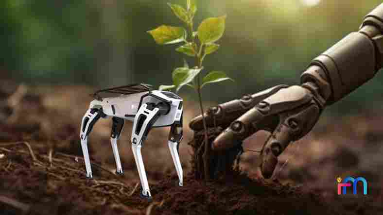 The Cost of Service Robots